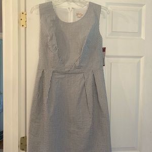 NWT Merona Blue Seersucker Dress